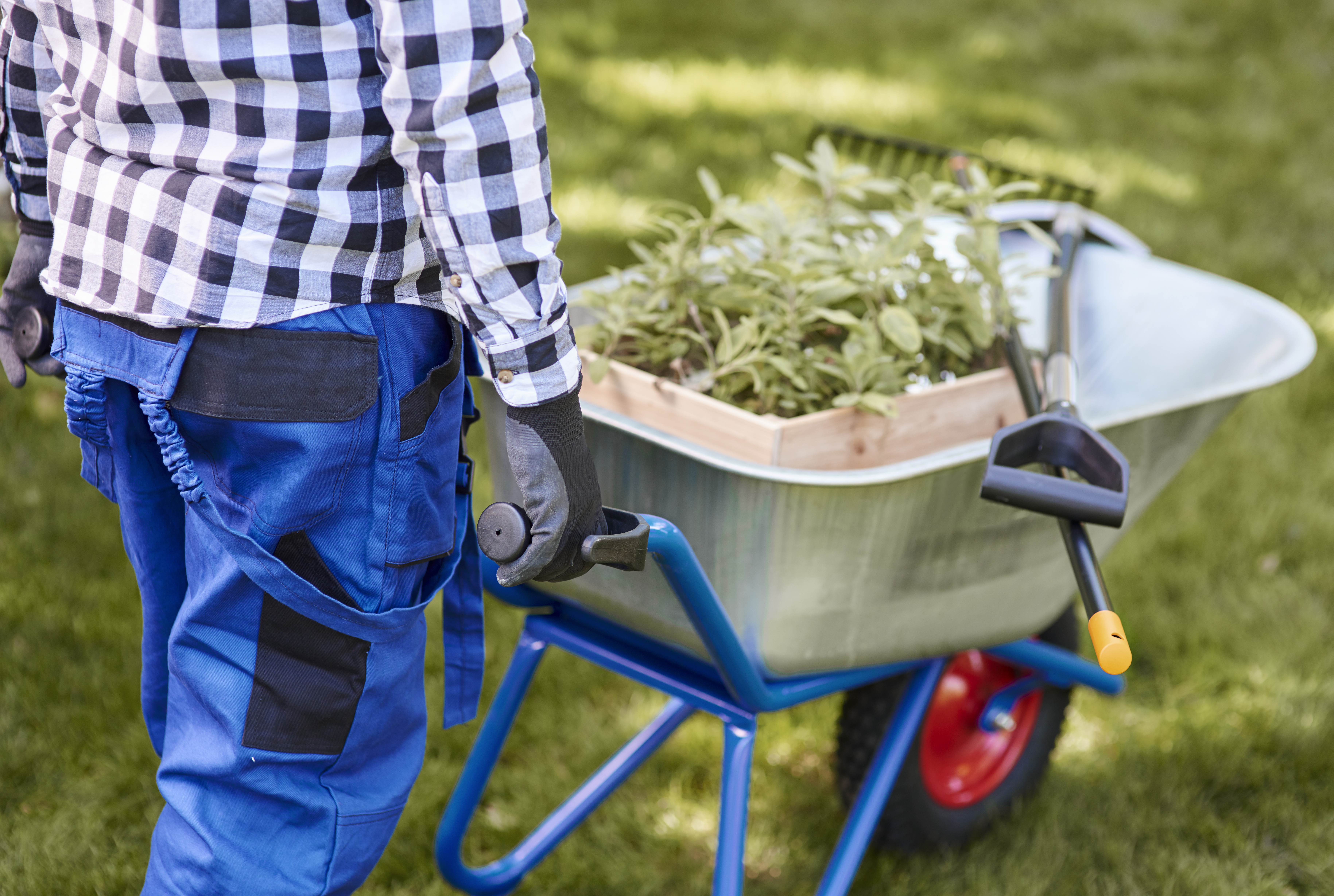 Professional Weed Control Services in Calgary