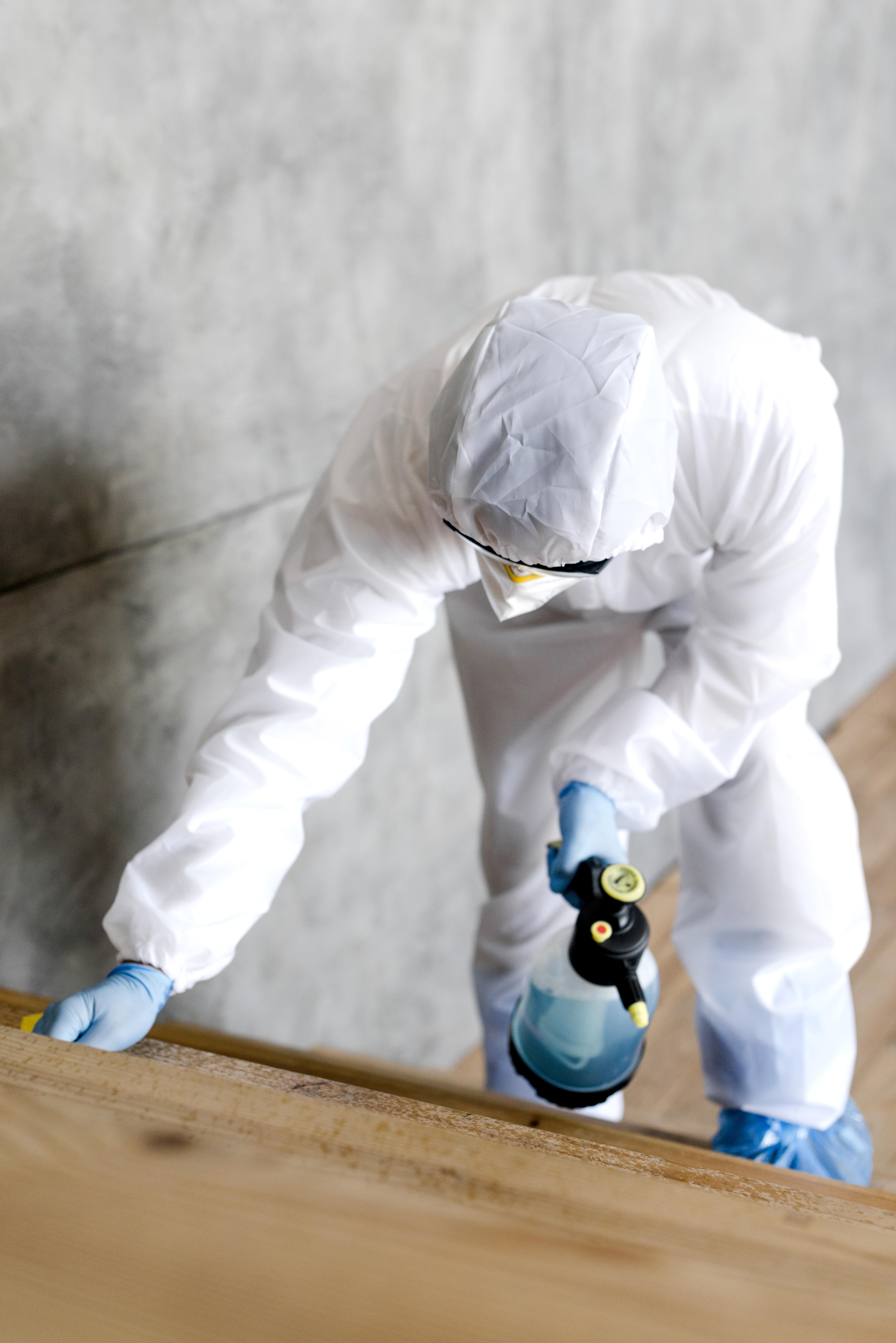Expert Mold Detection & Removal in Edmonton