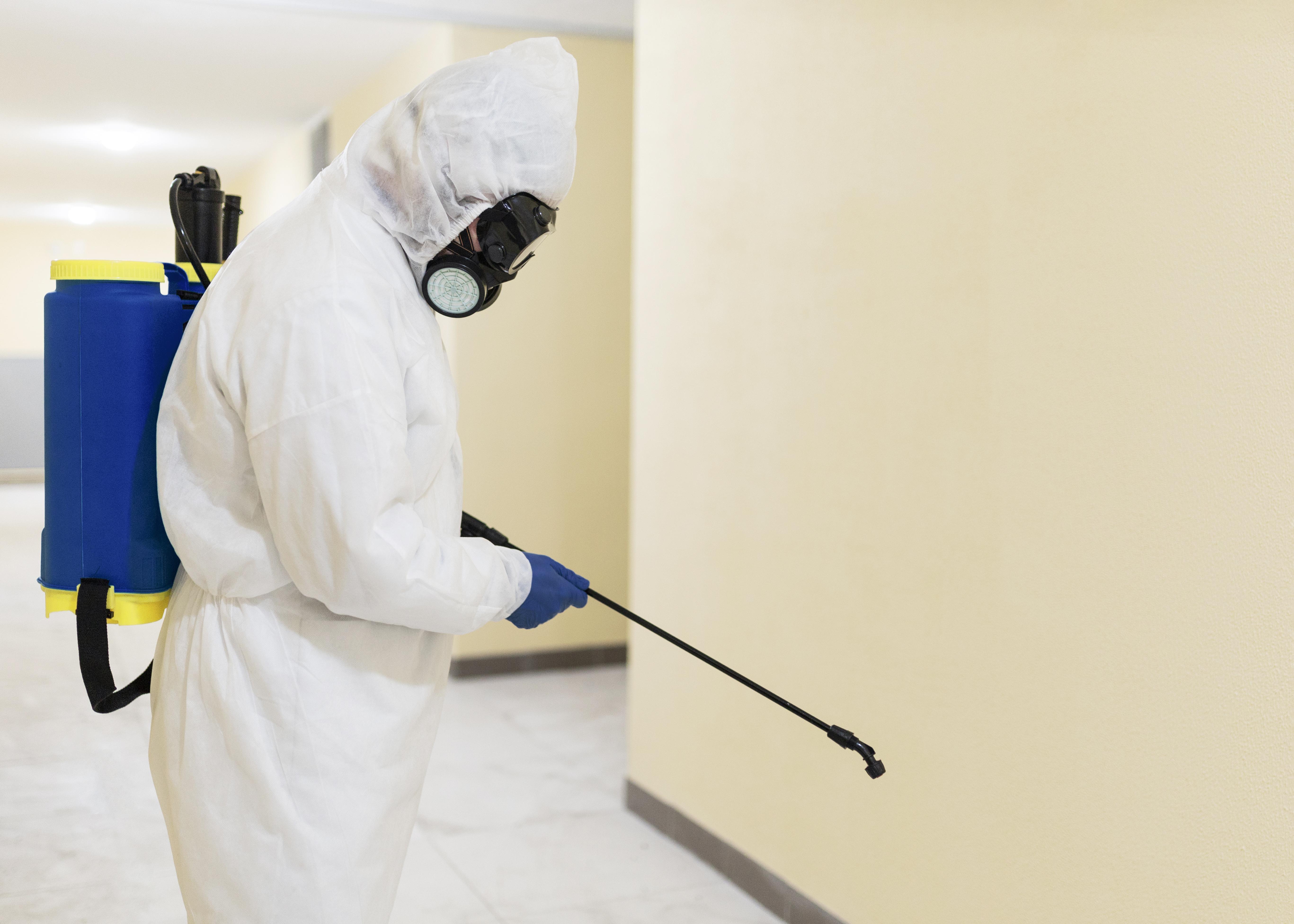 Mold Detection & Removal in Calgary