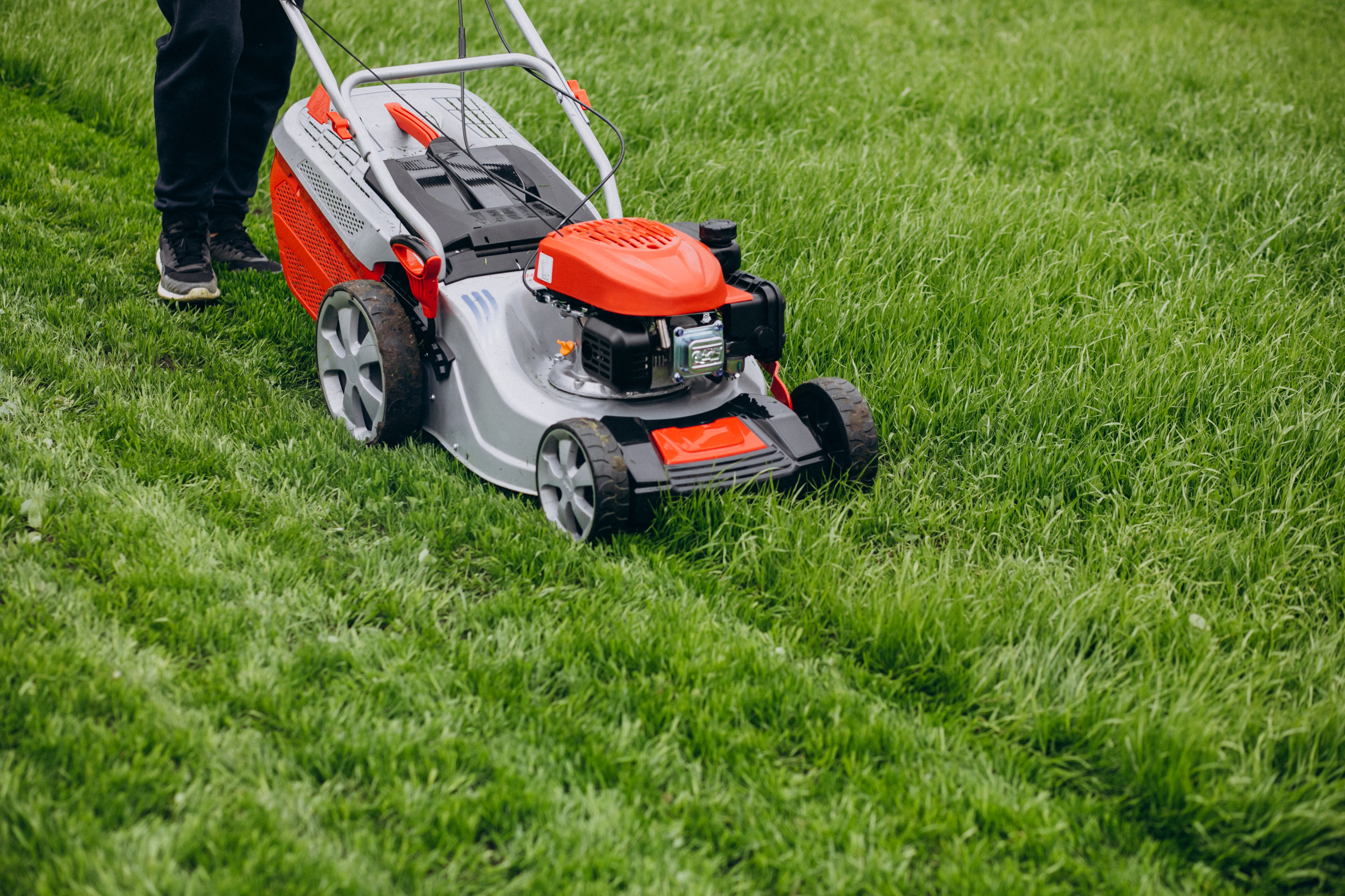 Lawn Maintenance and Care in Edmonton