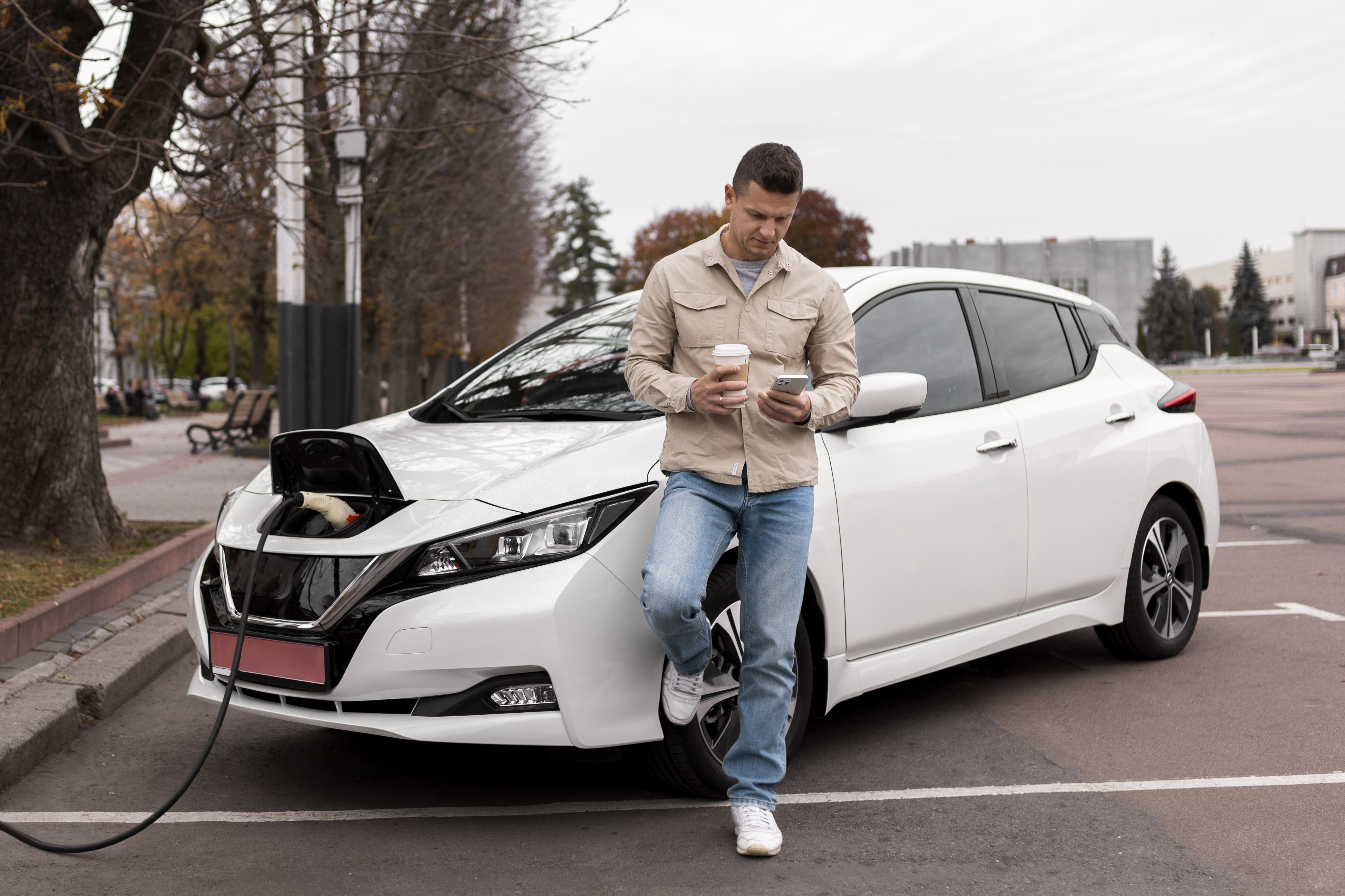 Electrical Vehicle Care and Maintenance in Calgary